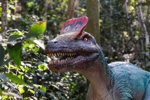 Terra dos Dinos Miguel Pereira