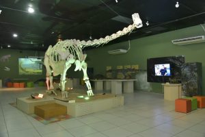 Férias no Museu Ciência e Vida 2023