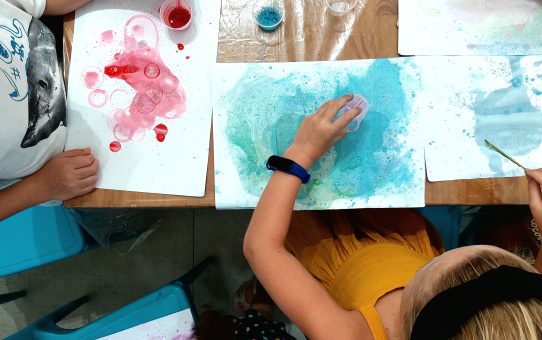 Férias de Julho no Museu Eva Klabin