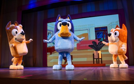 Bluey Ao Vivo Teatro Claro Mais