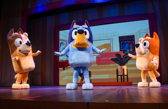 Bluey Ao Vivo Teatro Claro Mais