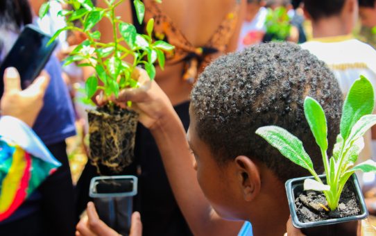 Programação Infantil Rio de Janeiro 25 e 26 de Abril