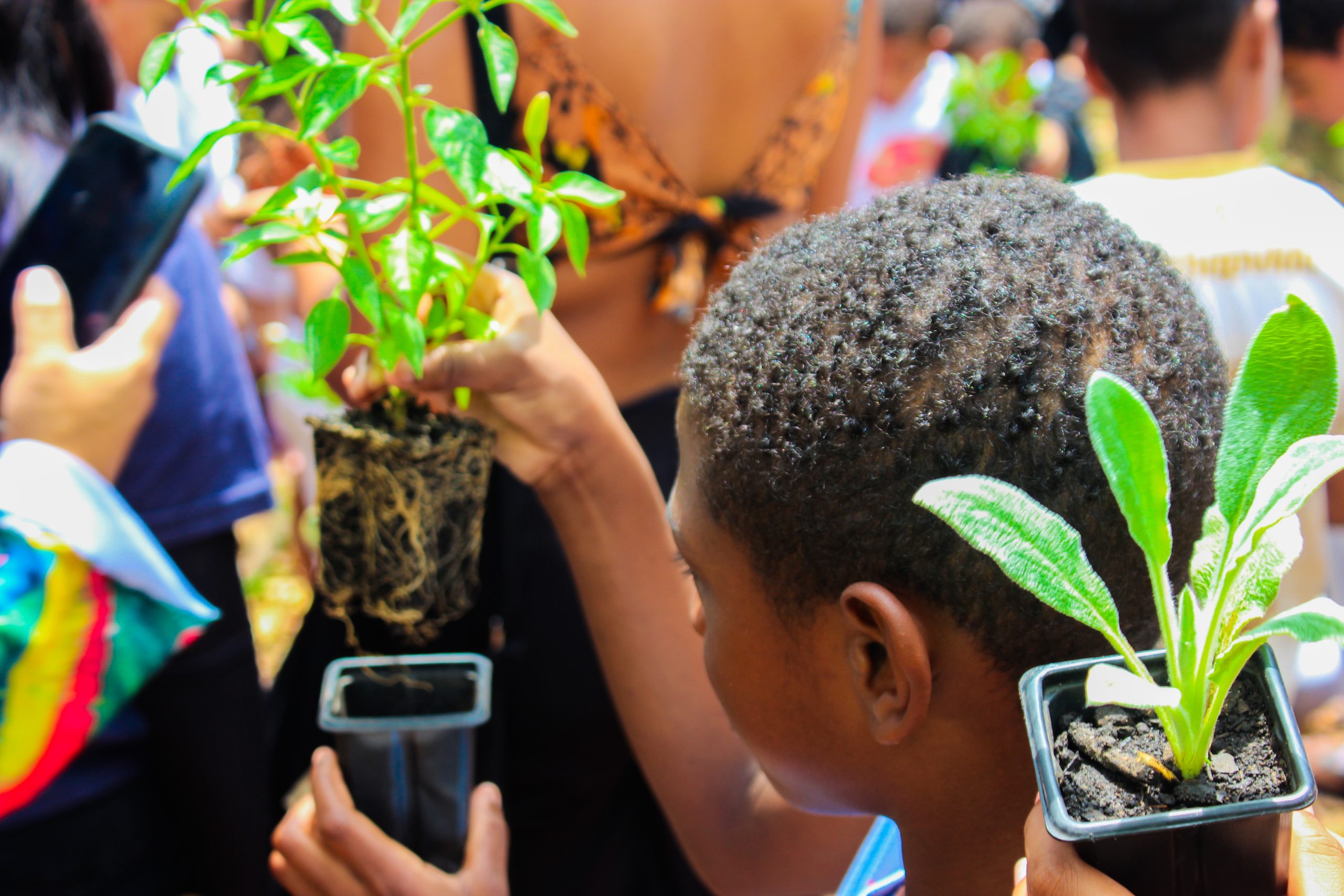 Programação Infantil Rio de Janeiro 25 e 26 de Abril