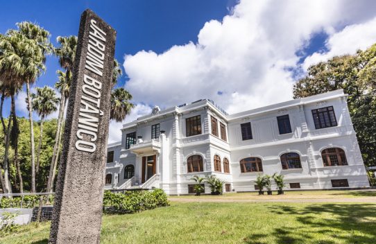 Férias no Museu do Jardim Botânico